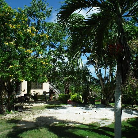 Posada Yaxche Xul-Ha Exterior photo